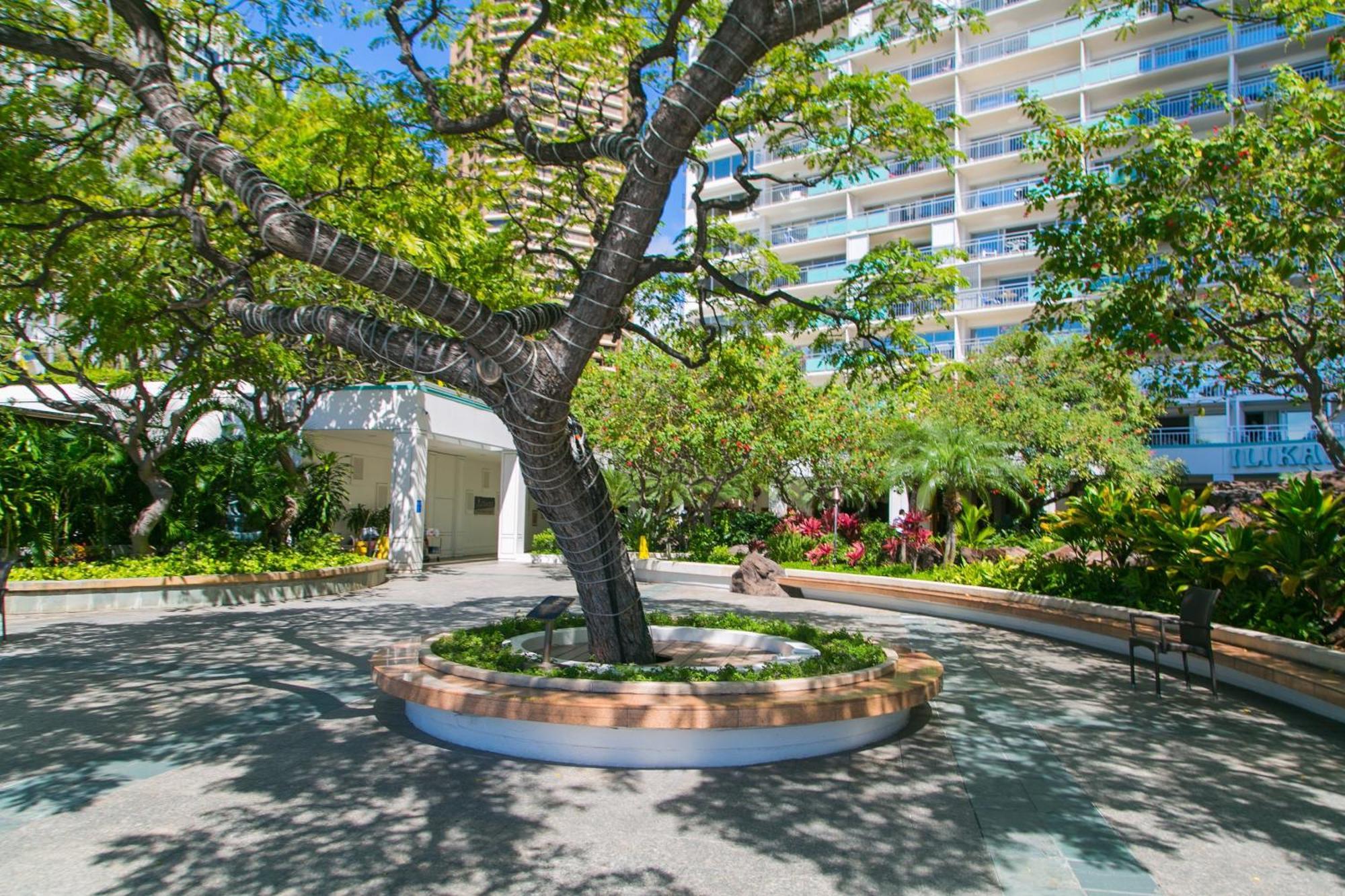 Ilikai Tower 1340 Lagoon View 1br Appartement Honolulu
